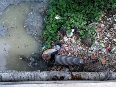 白洋淀區域生態治理&ldquo;紅黑榜&rdquo;(六)