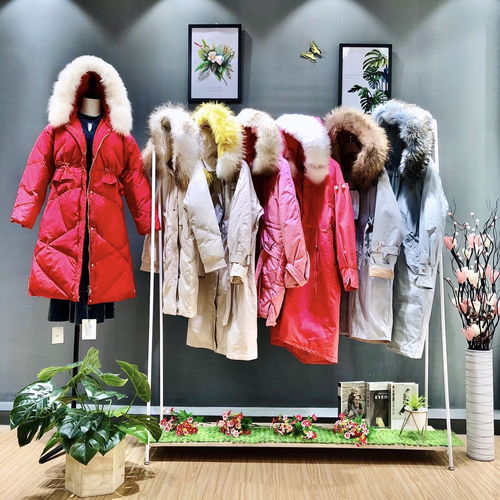 冬季輕奢風尚 西樹影黛皮草羽絨服——專柜品質(zhì)與品牌折扣的完美融合